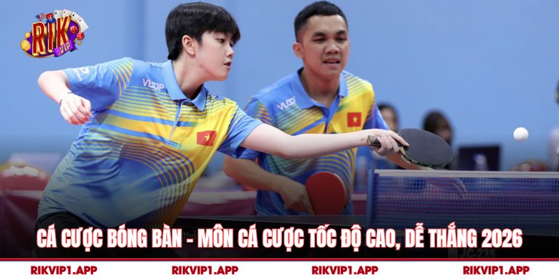 Cá Cược Bóng Bàn – Môn Cá Cược Tốc Độ Cao, Dễ Thắng 2026