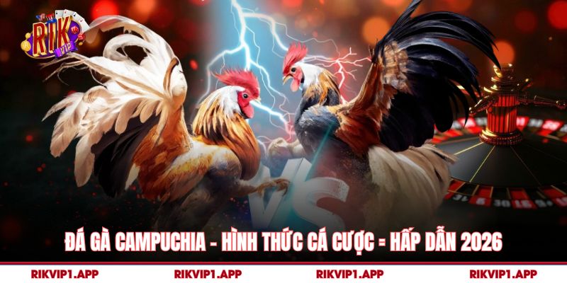 Đá Gà Campuchia – Hình Thức Cá Cược = Hấp Dẫn 2026